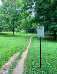 Spring Walking Path