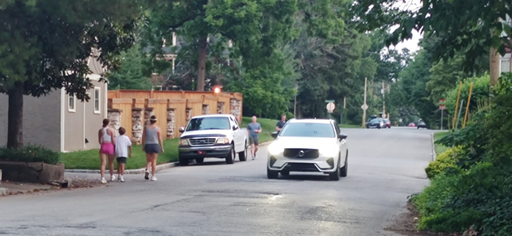 Eleanor Avenue Walkers